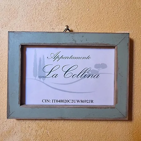 La Collina 감바시